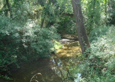 Rivière l'Avencq à Lagamas, à côté de Gignac dans l'hérault
