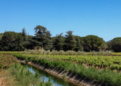 Mazet vigneron près du canal de Gignac dans l'hérault